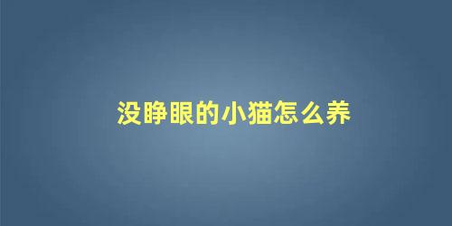 没睁眼的小猫咪怎么养(没睁眼睛的小猫怎么喂)